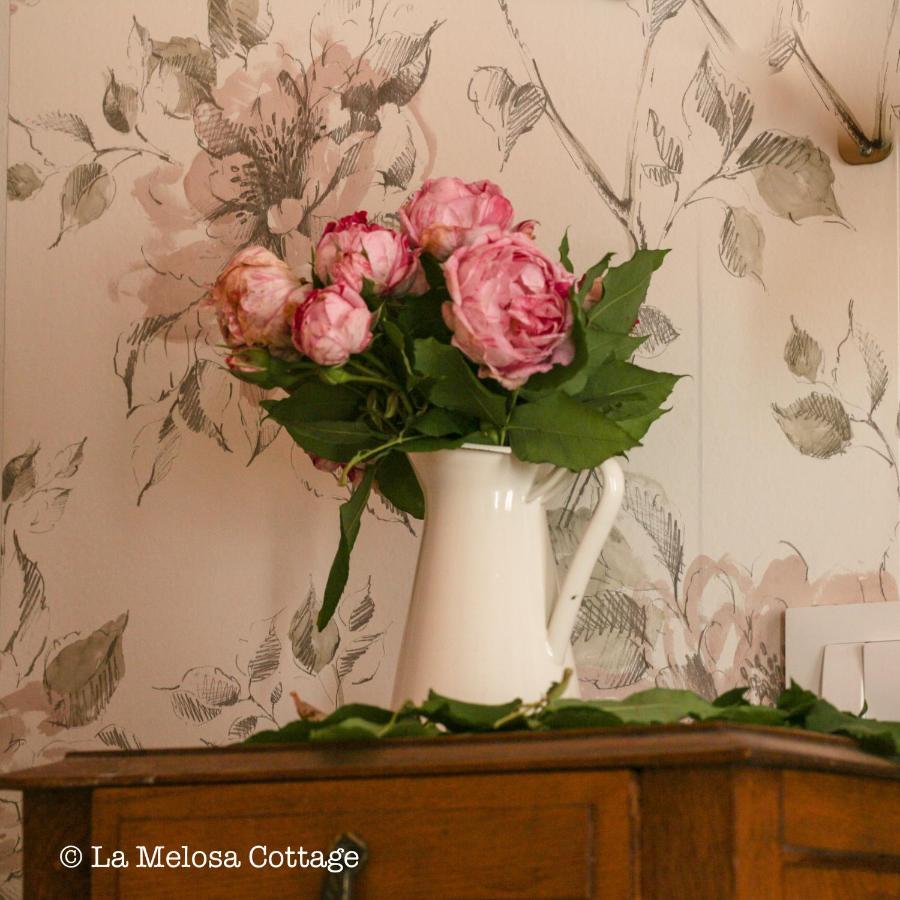 קודילרו La Melosa Cottage מראה חיצוני תמונה